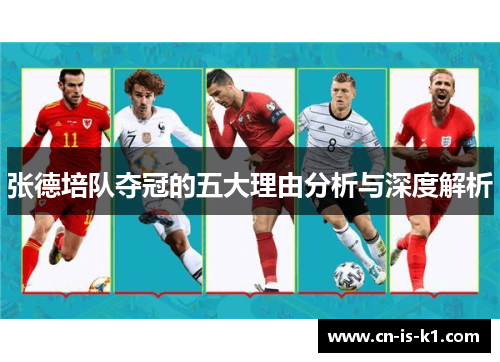张德培队夺冠的五大理由分析与深度解析