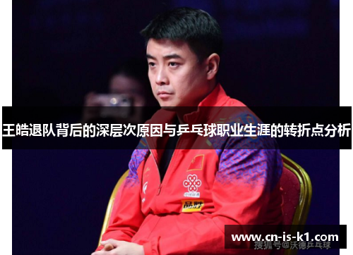 王皓退队背后的深层次原因与乒乓球职业生涯的转折点分析