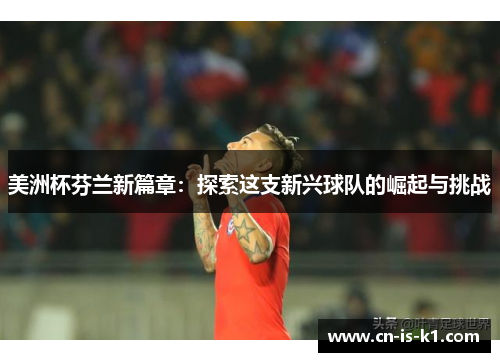 美洲杯芬兰新篇章：探索这支新兴球队的崛起与挑战