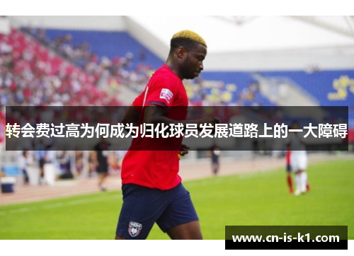 转会费过高为何成为归化球员发展道路上的一大障碍