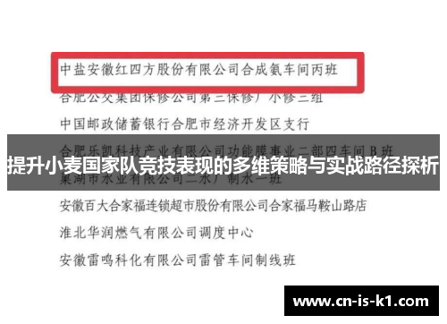 提升小麦国家队竞技表现的多维策略与实战路径探析